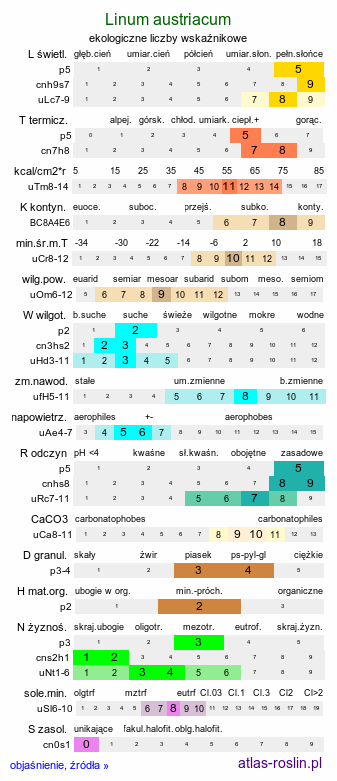 ekologiczne liczby wskaźnikowe Linum austriacum (len austriacki)