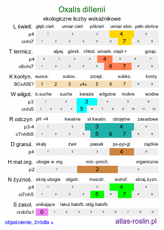 ekologiczne liczby wskaźnikowe Oxalis dillenii (szczawik Dillena)