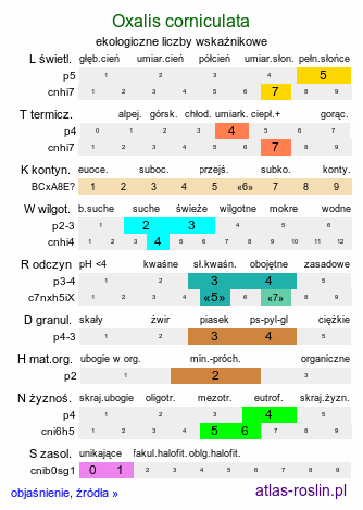 ekologiczne liczby wskaźnikowe Oxalis corniculata (szczawik rożkowaty)