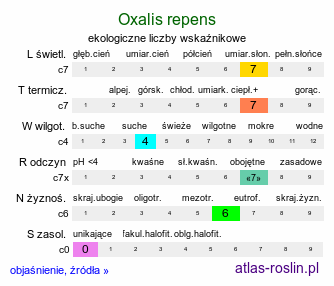 ekologiczne liczby wskaźnikowe Oxalis repens (szczawik płożący się)