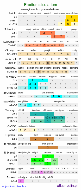 ekologiczne liczby wskaźnikowe Erodium cicutarium (iglica pospolita)