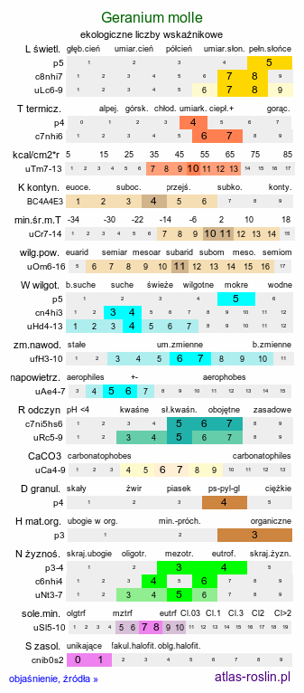 ekologiczne liczby wskaźnikowe Geranium molle (bodziszek kosmaty)