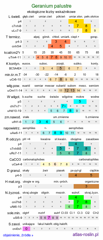 ekologiczne liczby wskaźnikowe Geranium palustre (bodziszek błotny)