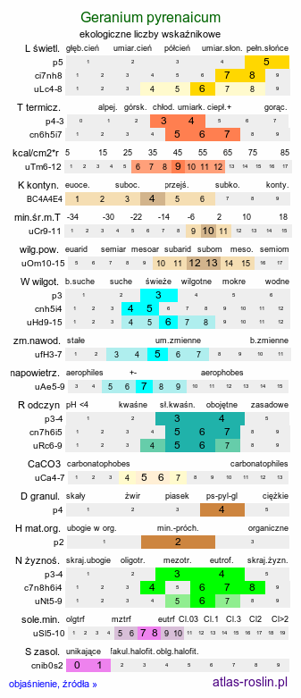 ekologiczne liczby wskaźnikowe Geranium pyrenaicum (bodziszek pirenejski)
