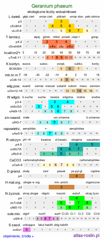 ekologiczne liczby wskaźnikowe Geranium phaeum (bodziszek żałobny)