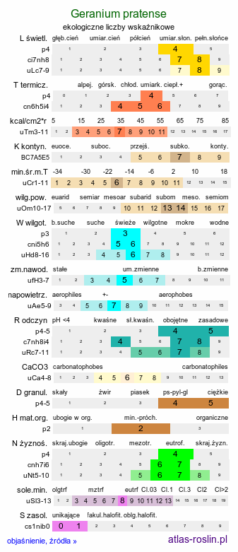 ekologiczne liczby wskaźnikowe Geranium pratense (bodziszek łąkowy)