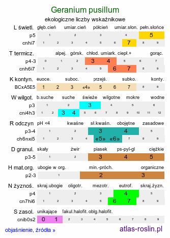 ekologiczne liczby wskaźnikowe Geranium pusillum (bodziszek drobny)