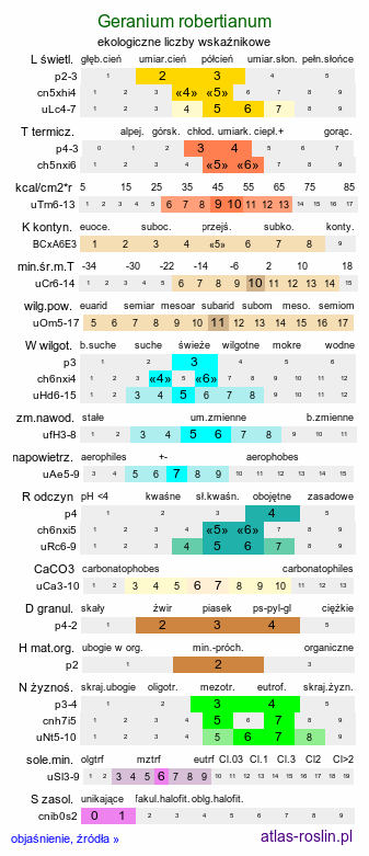 ekologiczne liczby wskaźnikowe Geranium robertianum (bodziszek cuchnący)