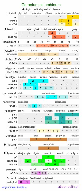 ekologiczne liczby wskaźnikowe Geranium columbinum (bodziszek gołębi)
