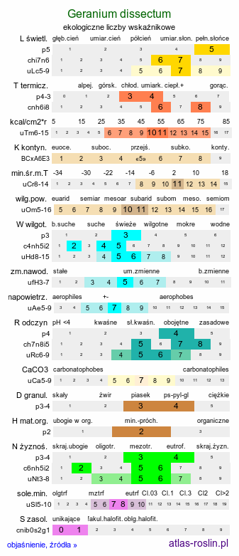 ekologiczne liczby wskaźnikowe Geranium dissectum (bodziszek porozcinany)