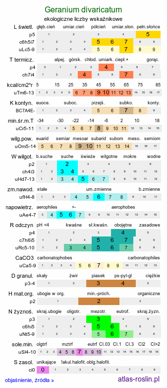 ekologiczne liczby wskaźnikowe Geranium divaricatum (bodziszek rozłożysty)
