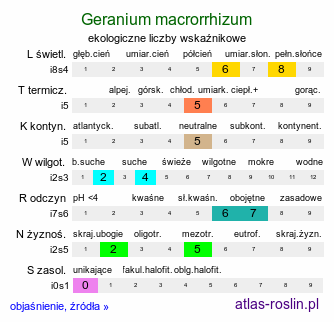 ekologiczne liczby wskaźnikowe Geranium macrorrhizum (bodziszek korzeniasty)