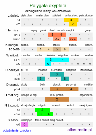 ekologiczne liczby wskaźnikowe Polygala oxyptera (krzyżownica ostroskrzydełkowa)