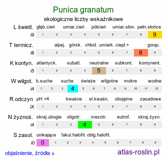 ekologiczne liczby wskaźnikowe Punica granatum (granatowiec właściwy)