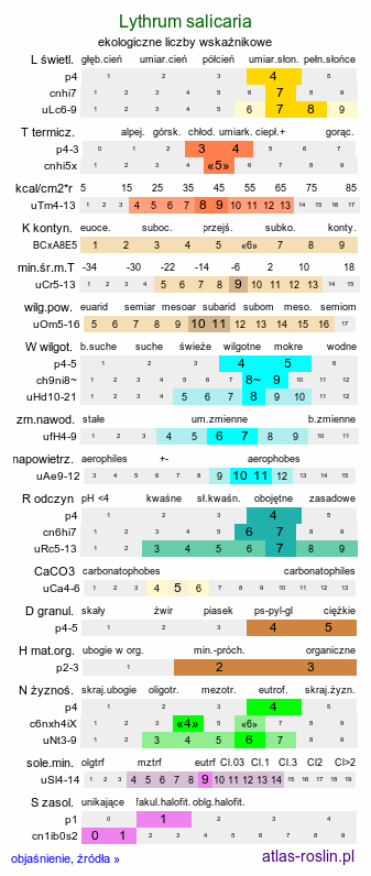 ekologiczne liczby wskaźnikowe Lythrum salicaria (krwawnica pospolita)