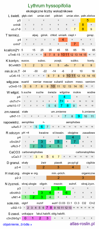 ekologiczne liczby wskaźnikowe Lythrum hyssopifolia (krwawnica wąskolistna)