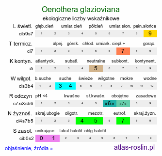 ekologiczne liczby wskaźnikowe Oenothera glazioviana (wiesiołek czerwonokielichowy)