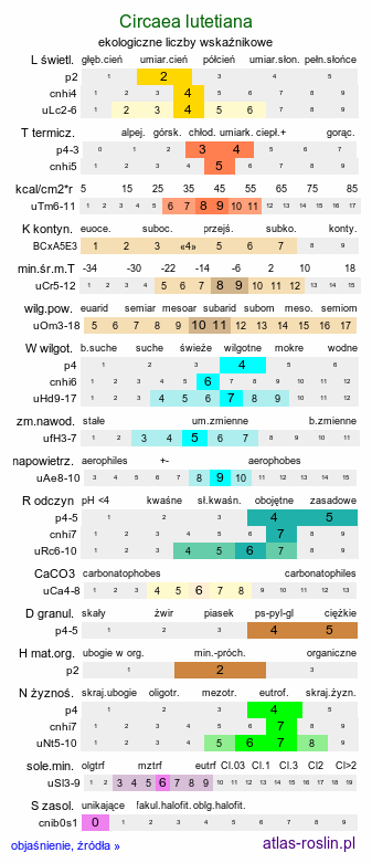 ekologiczne liczby wskaźnikowe Circaea lutetiana (czartawa pospolita)