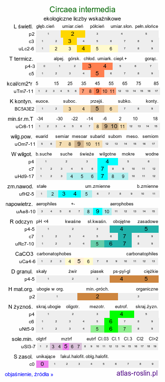 ekologiczne liczby wskaźnikowe Circaea intermedia (czartawa pośrednia)