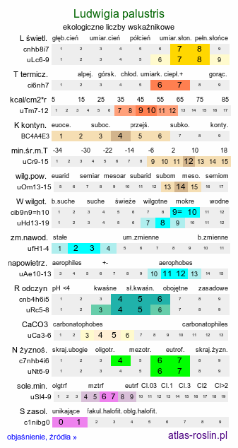 ekologiczne liczby wskaźnikowe Ludwigia palustris (ludwigia błotna)