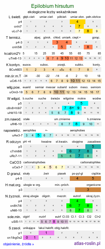 ekologiczne liczby wskaźnikowe Epilobium hirsutum (wierzbownica kosmata)