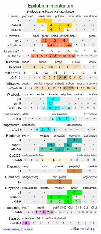 ekologiczne liczby wskaźnikowe Epilobium montanum (wierzbownica górska)