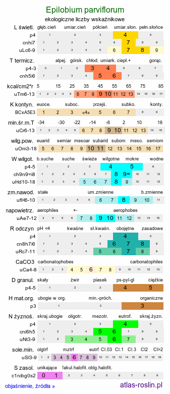 ekologiczne liczby wskaźnikowe Epilobium parviflorum (wierzbownica drobnokwiatowa)