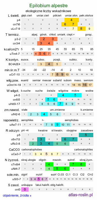 ekologiczne liczby wskaźnikowe Epilobium alpestre (wierzbownica okółkowa)