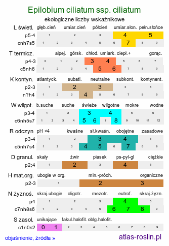 ekologiczne liczby wskaźnikowe Epilobium ciliatum ssp. ciliatum (wierzbownica gruczołowata)