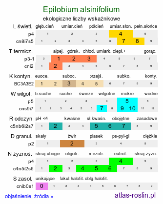 ekologiczne liczby wskaźnikowe Epilobium alsinifolium (wierzbownica mokrzycowa)