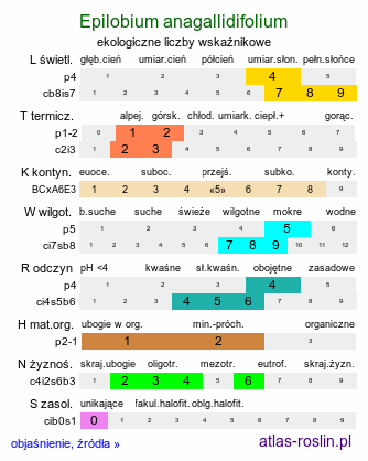 ekologiczne liczby wskaźnikowe Epilobium anagallidifolium (wierzbownica drobnolistna)