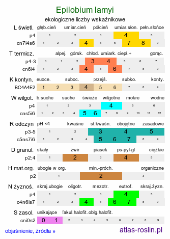 ekologiczne liczby wskaźnikowe Epilobium lamyi (wierzbownica Lamy'ego)