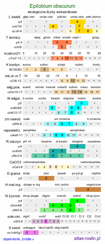 ekologiczne liczby wskaźnikowe Epilobium obscurum (wierzbownica rózgowata)