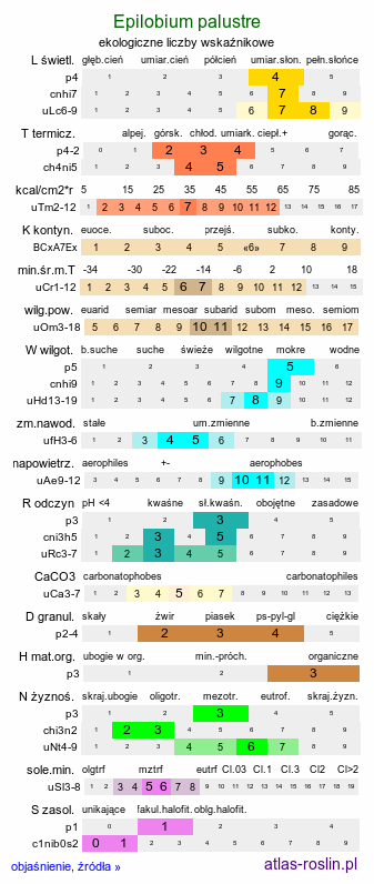 ekologiczne liczby wskaźnikowe Epilobium palustre (wierzbownica błotna)