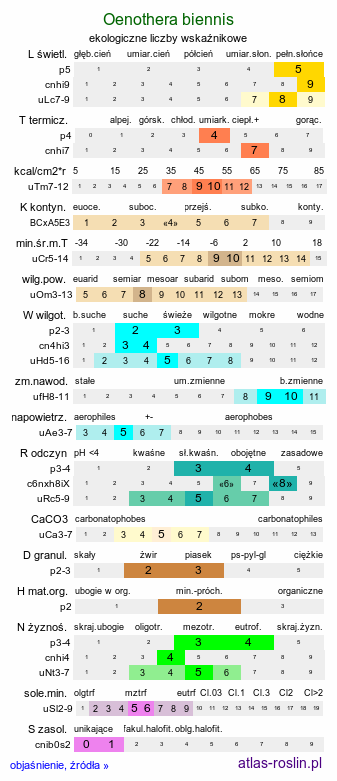 ekologiczne liczby wskaźnikowe Oenothera biennis s.str. (wiesiołek dwuletni)