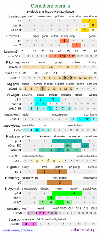 ekologiczne liczby wskaźnikowe Oenothera biennis (wiesiołek dwuletni)