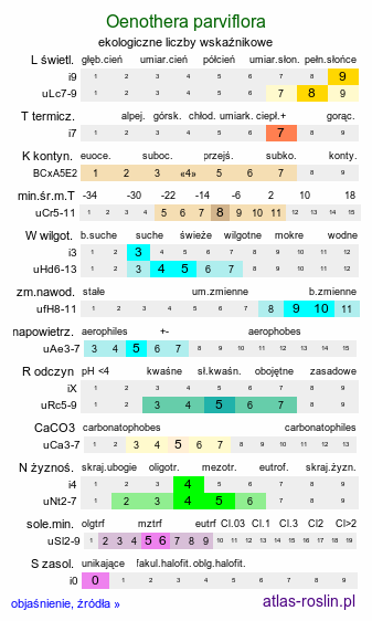 ekologiczne liczby wskaźnikowe Oenothera parviflora (wiesiołek drobnokwiatowy)