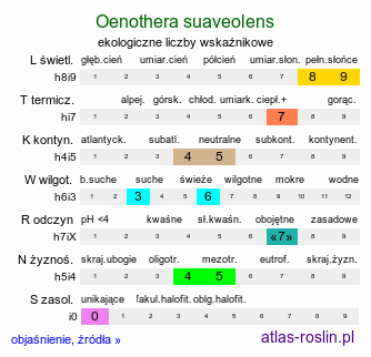 ekologiczne liczby wskaźnikowe Oenothera suaveolens (wiesiołek pachnący)