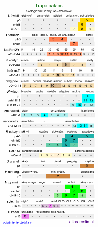 ekologiczne liczby wskaźnikowe Trapa natans s.l. (kotewka orzech wodny)