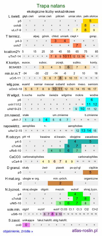 ekologiczne liczby wskaźnikowe Trapa natans (kotewka orzech wodny)