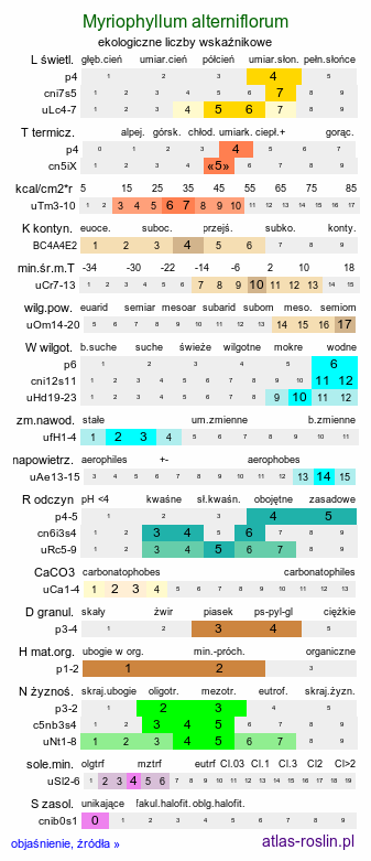 ekologiczne liczby wskaźnikowe Myriophyllum alterniflorum (wywłócznik skrętoległy)