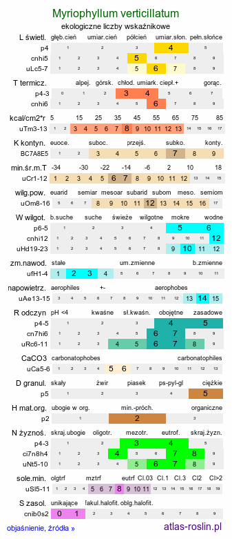 ekologiczne liczby wskaźnikowe Myriophyllum verticillatum (wywłócznik okółkowy)