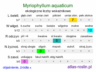 ekologiczne liczby wskaźnikowe Myriophyllum aquaticum (wywłócznik brazylijski)