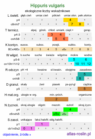 ekologiczne liczby wskaźnikowe Hippuris vulgaris (przęstka pospolita)