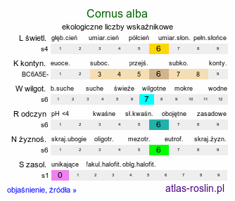 ekologiczne liczby wskaźnikowe Cornus alba (dereń biały)