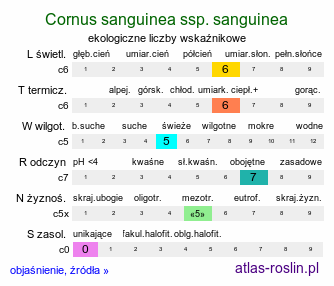 ekologiczne liczby wskaźnikowe Cornus sanguinea ssp. sanguinea (dereń świdwa typowy)