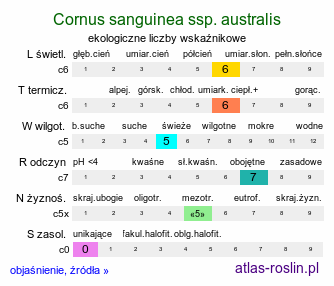 ekologiczne liczby wskaźnikowe Cornus sanguinea ssp. australis (dereń świdwa południowy)