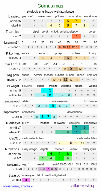 ekologiczne liczby wskaźnikowe Cornus mas (dereń jadalny)