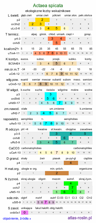 ekologiczne liczby wskaźnikowe Actaea spicata (czerniec gronkowy)