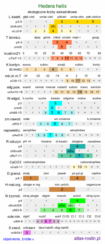 ekologiczne liczby wskaźnikowe Hedera helix (bluszcz pospolity)